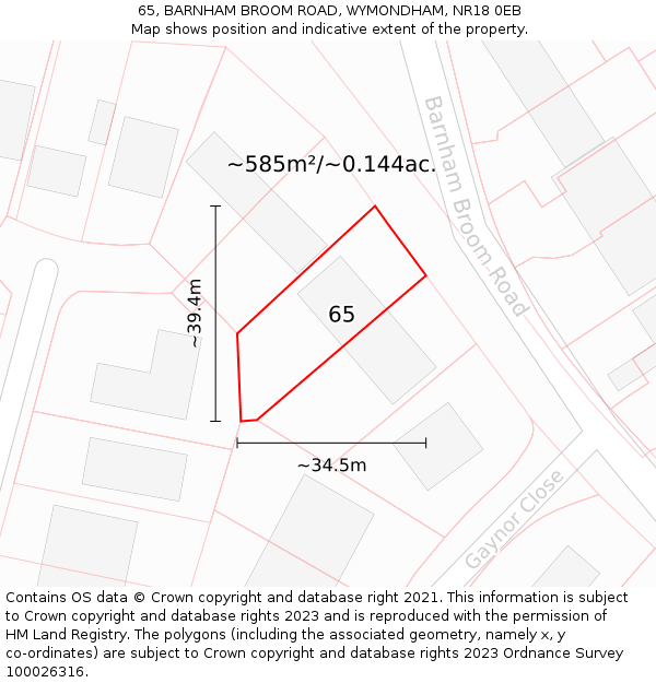 65, BARNHAM BROOM ROAD, WYMONDHAM, NR18 0EB: Plot and title map