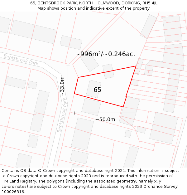 65, BENTSBROOK PARK, NORTH HOLMWOOD, DORKING, RH5 4JL: Plot and title map