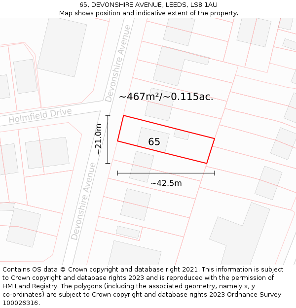 65, DEVONSHIRE AVENUE, LEEDS, LS8 1AU: Plot and title map