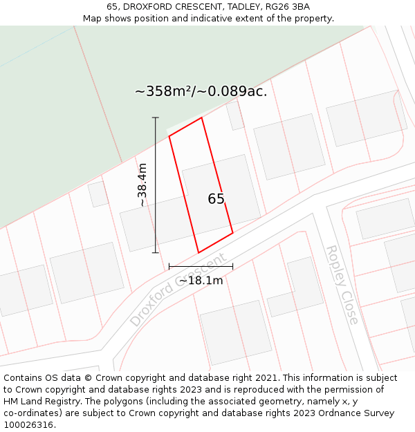65, DROXFORD CRESCENT, TADLEY, RG26 3BA: Plot and title map