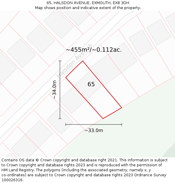 65, HALSDON AVENUE, EXMOUTH, EX8 3DH: Plot and title map