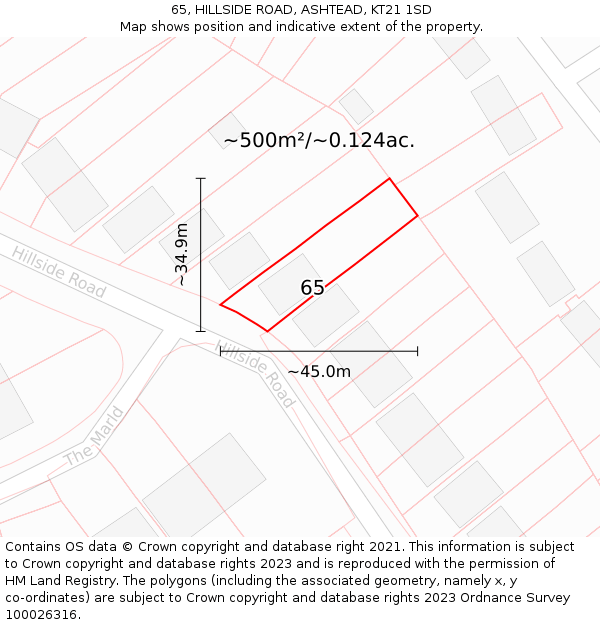 65, HILLSIDE ROAD, ASHTEAD, KT21 1SD: Plot and title map