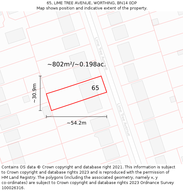 65, LIME TREE AVENUE, WORTHING, BN14 0DP: Plot and title map