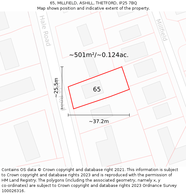 65, MILLFIELD, ASHILL, THETFORD, IP25 7BQ: Plot and title map