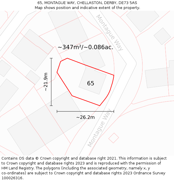 65, MONTAGUE WAY, CHELLASTON, DERBY, DE73 5AS: Plot and title map