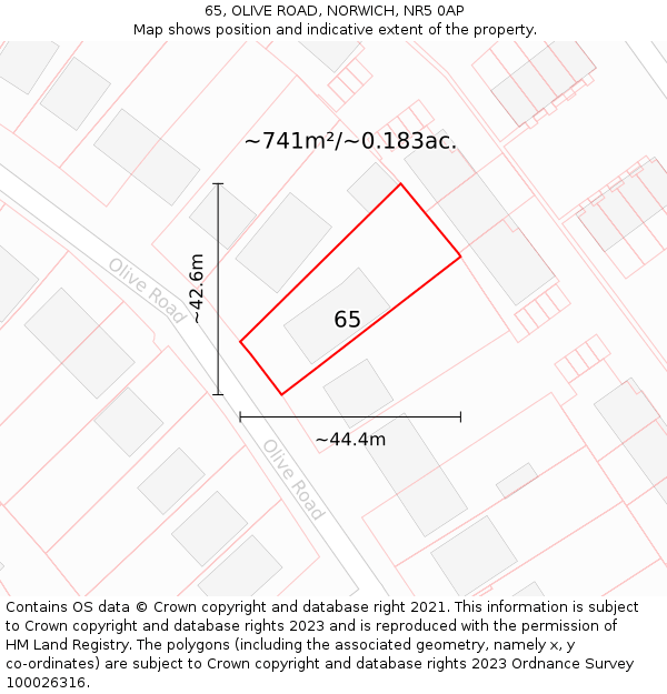 65, OLIVE ROAD, NORWICH, NR5 0AP: Plot and title map