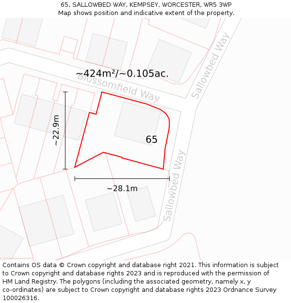 65, SALLOWBED WAY, KEMPSEY, WORCESTER, WR5 3WP: Plot and title map