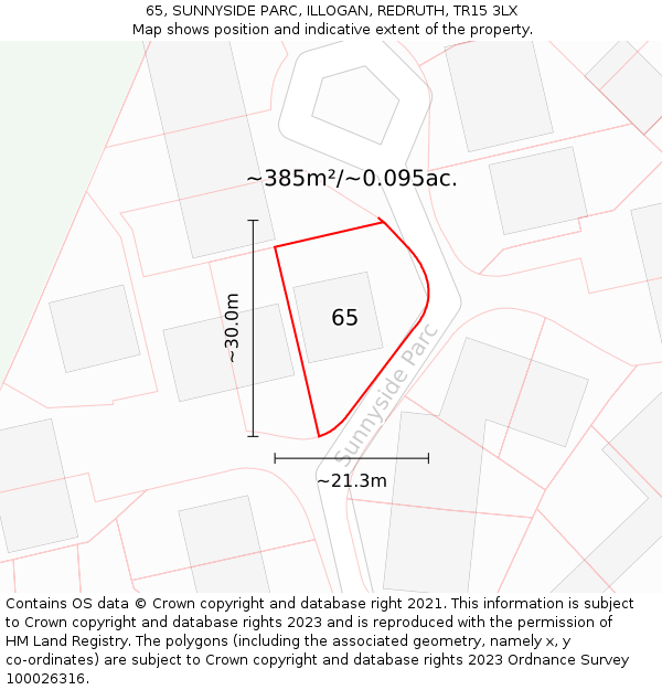 65, SUNNYSIDE PARC, ILLOGAN, REDRUTH, TR15 3LX: Plot and title map