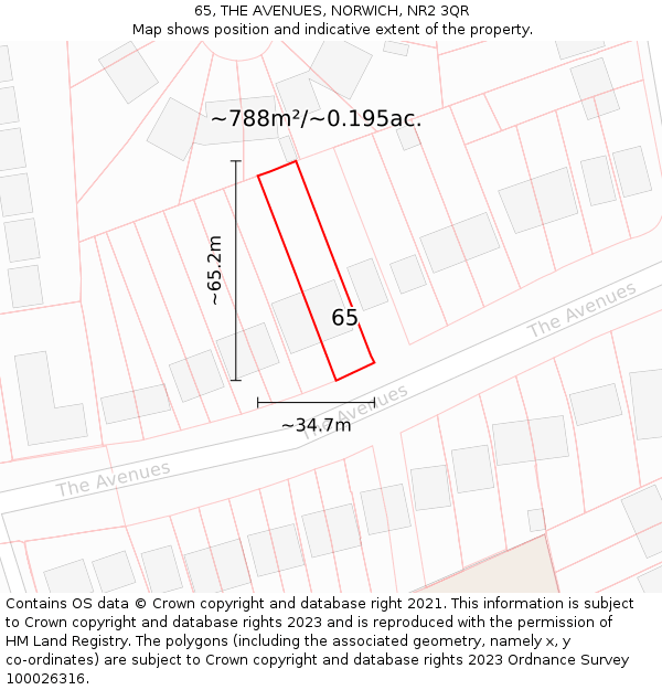 65, THE AVENUES, NORWICH, NR2 3QR: Plot and title map