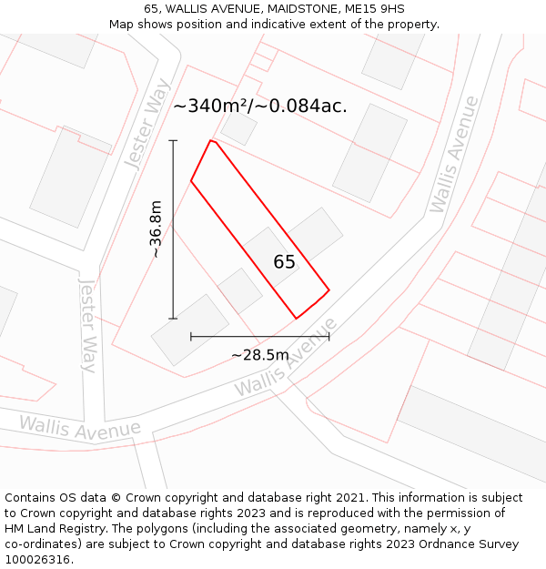 65, WALLIS AVENUE, MAIDSTONE, ME15 9HS: Plot and title map