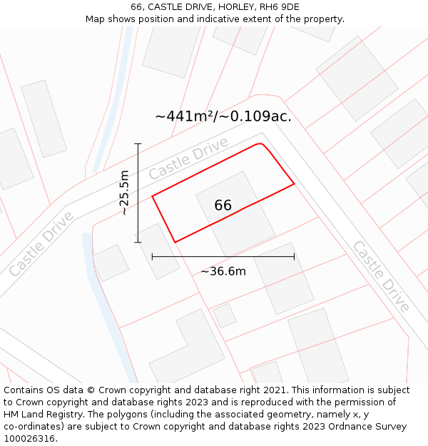 66, CASTLE DRIVE, HORLEY, RH6 9DE: Plot and title map