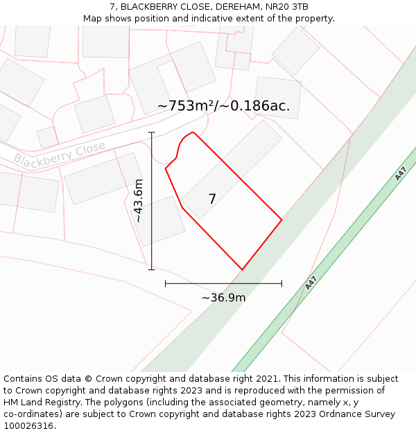 7, BLACKBERRY CLOSE, DEREHAM, NR20 3TB: Plot and title map