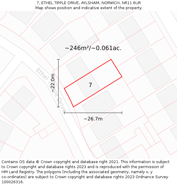 7, ETHEL TIPPLE DRIVE, AYLSHAM, NORWICH, NR11 6UR: Plot and title map