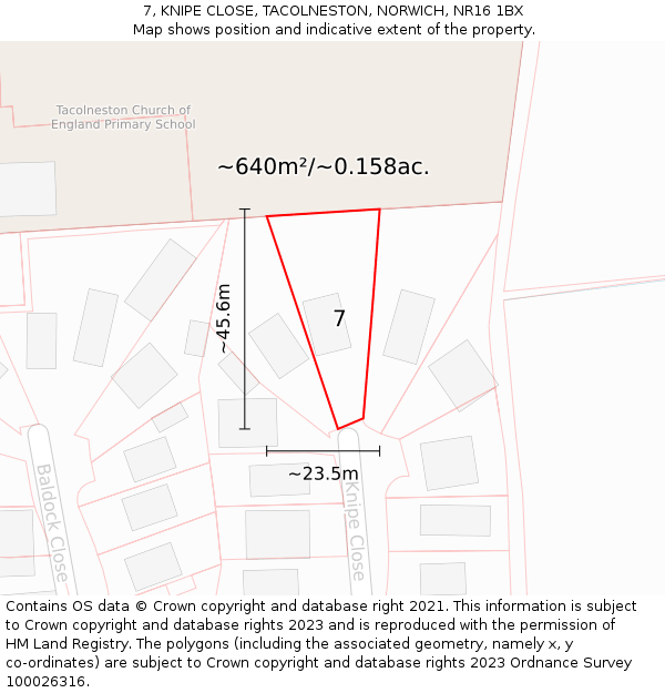 7, KNIPE CLOSE, TACOLNESTON, NORWICH, NR16 1BX: Plot and title map