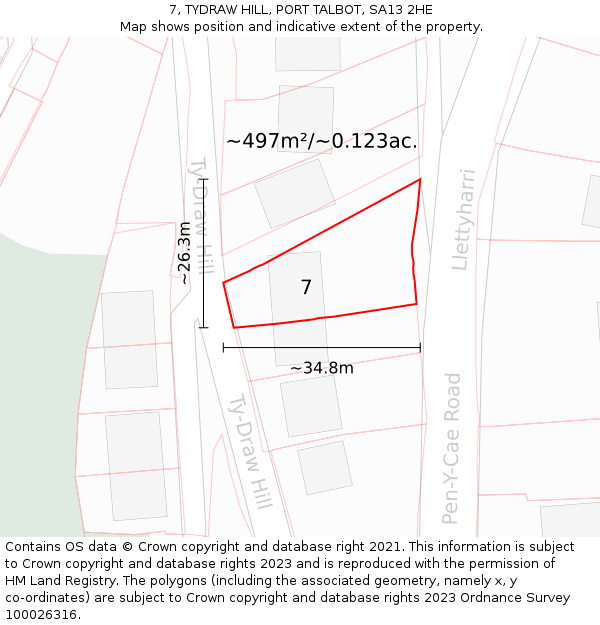 7, TYDRAW HILL, PORT TALBOT, SA13 2HE: Plot and title map