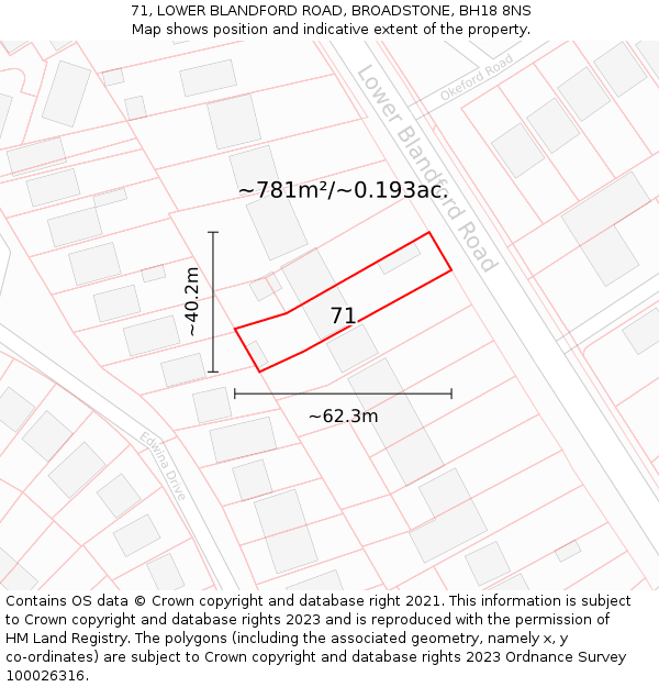 71, LOWER BLANDFORD ROAD, BROADSTONE, BH18 8NS: Plot and title map