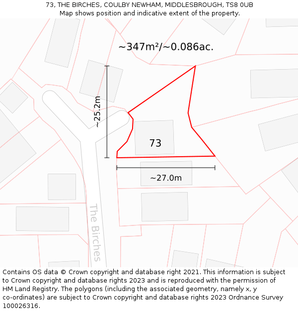 73, THE BIRCHES, COULBY NEWHAM, MIDDLESBROUGH, TS8 0UB: Plot and title map