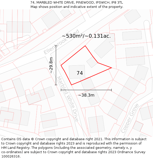 74, MARBLED WHITE DRIVE, PINEWOOD, IPSWICH, IP8 3TL: Plot and title map