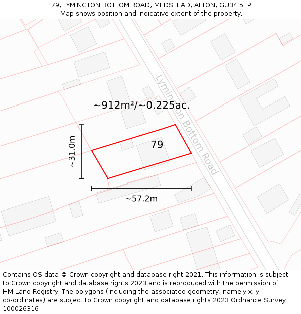 79, LYMINGTON BOTTOM ROAD, MEDSTEAD, ALTON, GU34 5EP: Plot and title map