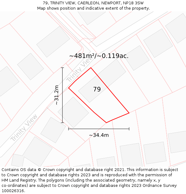 79, TRINITY VIEW, CAERLEON, NEWPORT, NP18 3SW: Plot and title map