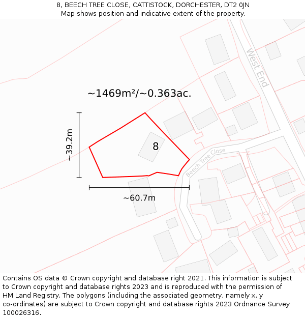 8, BEECH TREE CLOSE, CATTISTOCK, DORCHESTER, DT2 0JN: Plot and title map