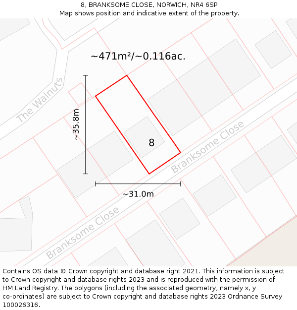 8, BRANKSOME CLOSE, NORWICH, NR4 6SP: Plot and title map