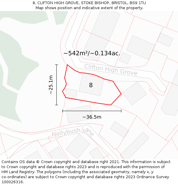 8, CLIFTON HIGH GROVE, STOKE BISHOP, BRISTOL, BS9 1TU: Plot and title map