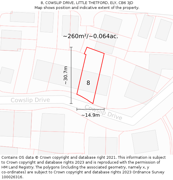 8, COWSLIP DRIVE, LITTLE THETFORD, ELY, CB6 3JD: Plot and title map
