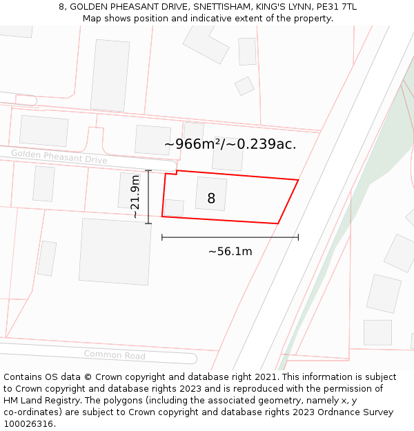8, GOLDEN PHEASANT DRIVE, SNETTISHAM, KING'S LYNN, PE31 7TL: Plot and title map