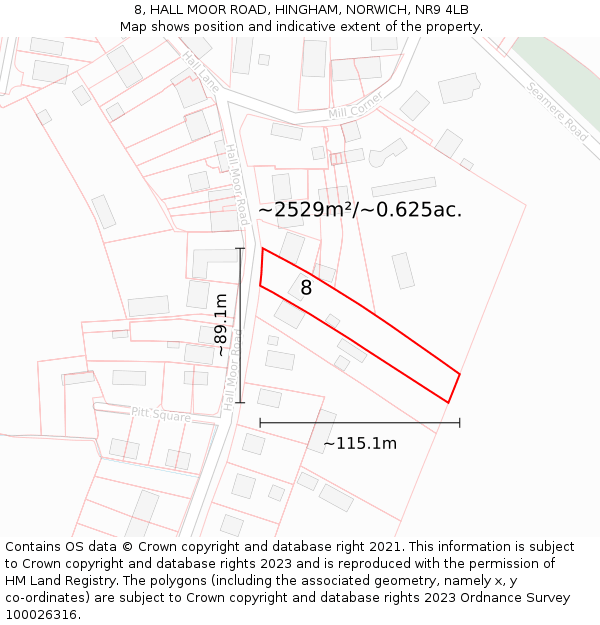 8, HALL MOOR ROAD, HINGHAM, NORWICH, NR9 4LB: Plot and title map