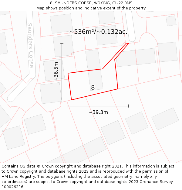8, SAUNDERS COPSE, WOKING, GU22 0NS: Plot and title map