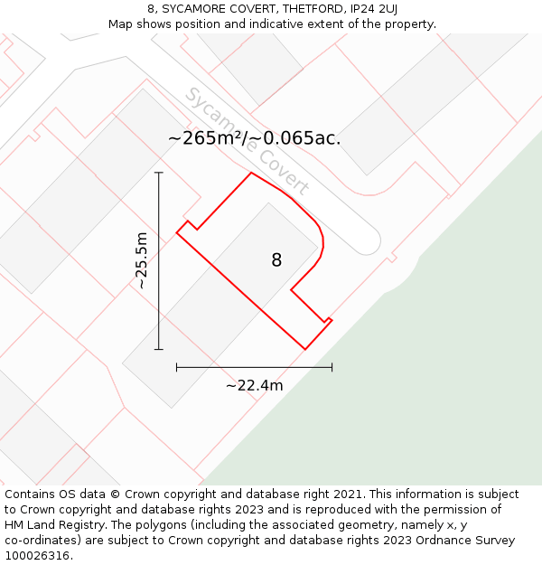 8, SYCAMORE COVERT, THETFORD, IP24 2UJ: Plot and title map
