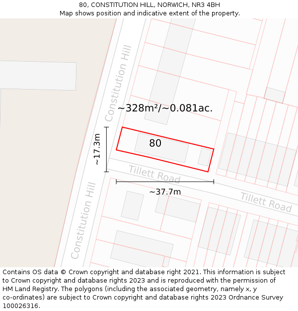 80, CONSTITUTION HILL, NORWICH, NR3 4BH: Plot and title map