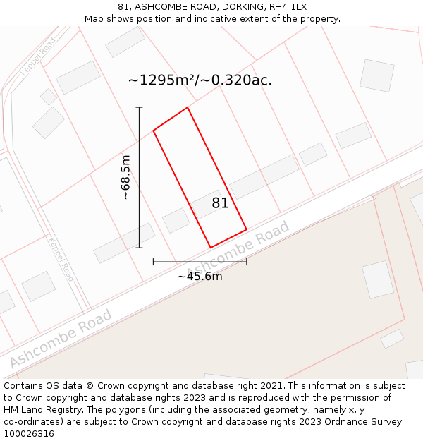 81, ASHCOMBE ROAD, DORKING, RH4 1LX: Plot and title map