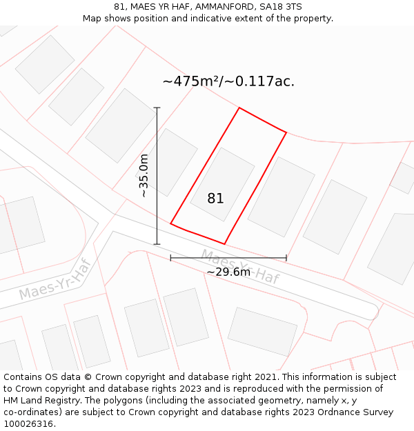 81, MAES YR HAF, AMMANFORD, SA18 3TS: Plot and title map