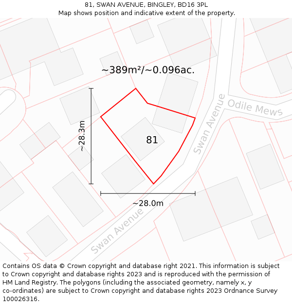 81, SWAN AVENUE, BINGLEY, BD16 3PL: Plot and title map