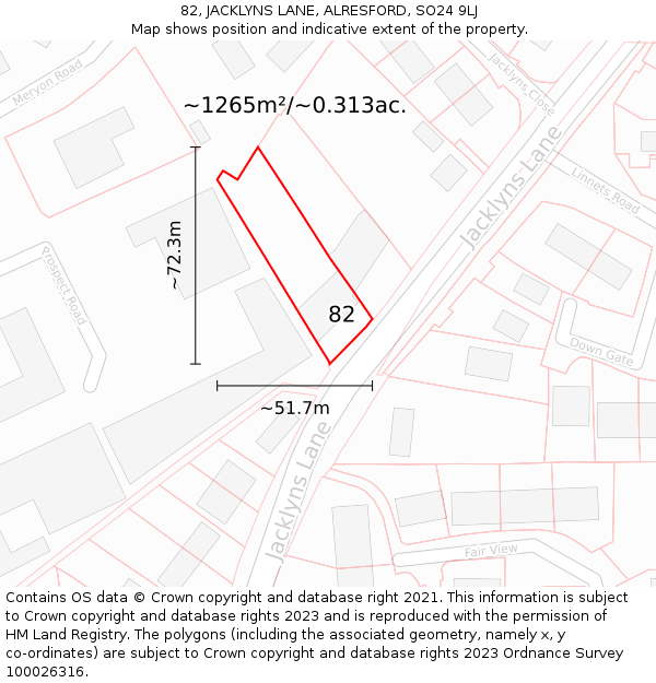 82, JACKLYNS LANE, ALRESFORD, SO24 9LJ: Plot and title map