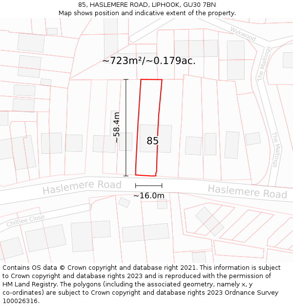 85, HASLEMERE ROAD, LIPHOOK, GU30 7BN: Plot and title map