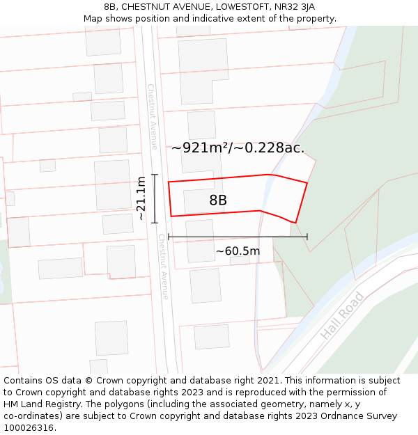 8B, CHESTNUT AVENUE, LOWESTOFT, NR32 3JA: Plot and title map