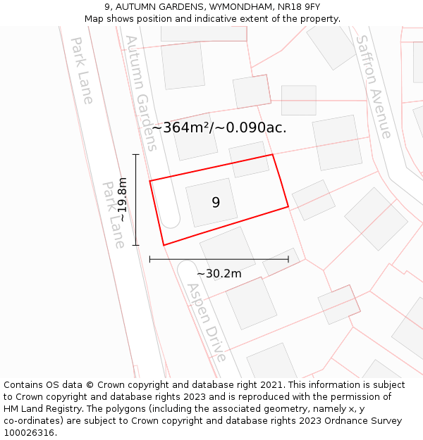 9, AUTUMN GARDENS, WYMONDHAM, NR18 9FY: Plot and title map