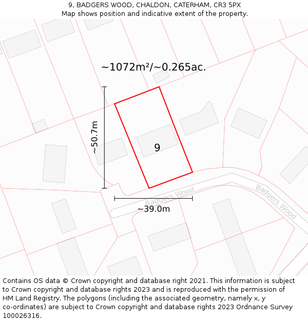9, BADGERS WOOD, CHALDON, CATERHAM, CR3 5PX: Plot and title map