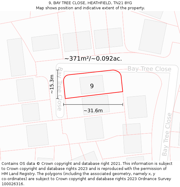 9, BAY TREE CLOSE, HEATHFIELD, TN21 8YG: Plot and title map