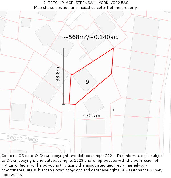 9, BEECH PLACE, STRENSALL, YORK, YO32 5AS: Plot and title map