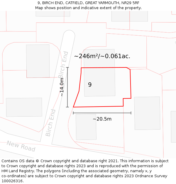 9, BIRCH END, CATFIELD, GREAT YARMOUTH, NR29 5RF: Plot and title map