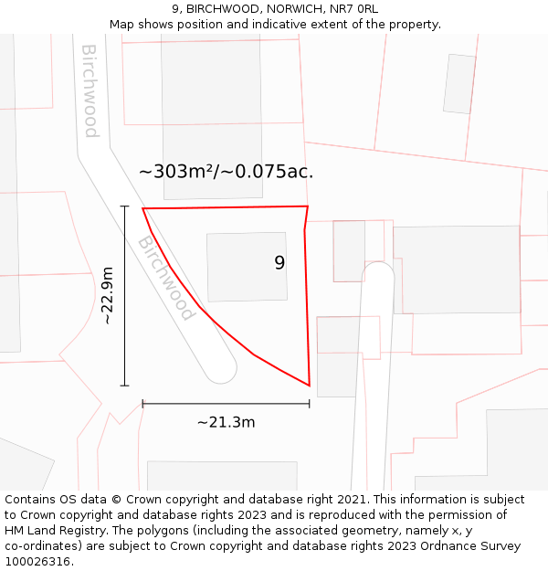 9, BIRCHWOOD, NORWICH, NR7 0RL: Plot and title map