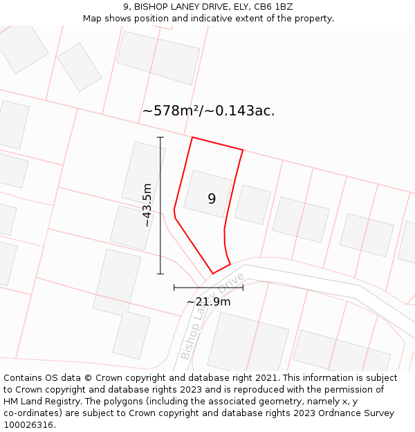 9, BISHOP LANEY DRIVE, ELY, CB6 1BZ: Plot and title map