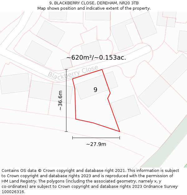 9, BLACKBERRY CLOSE, DEREHAM, NR20 3TB: Plot and title map