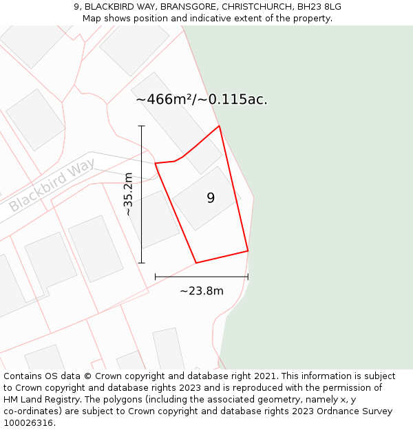 9, BLACKBIRD WAY, BRANSGORE, CHRISTCHURCH, BH23 8LG: Plot and title map