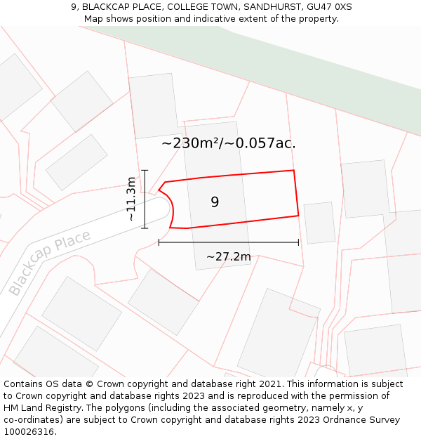 9, BLACKCAP PLACE, COLLEGE TOWN, SANDHURST, GU47 0XS: Plot and title map
