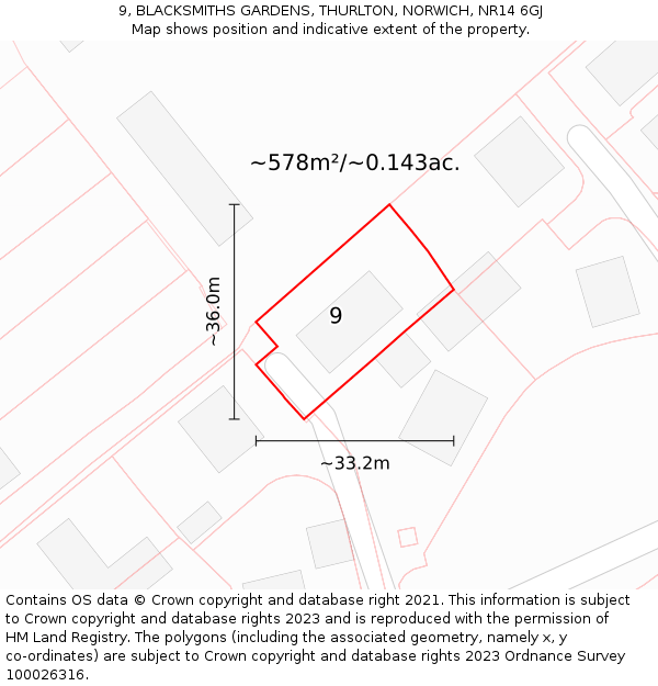9, BLACKSMITHS GARDENS, THURLTON, NORWICH, NR14 6GJ: Plot and title map